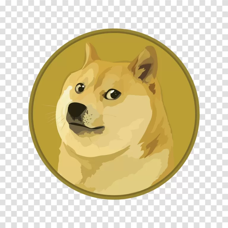 DOGE MOON